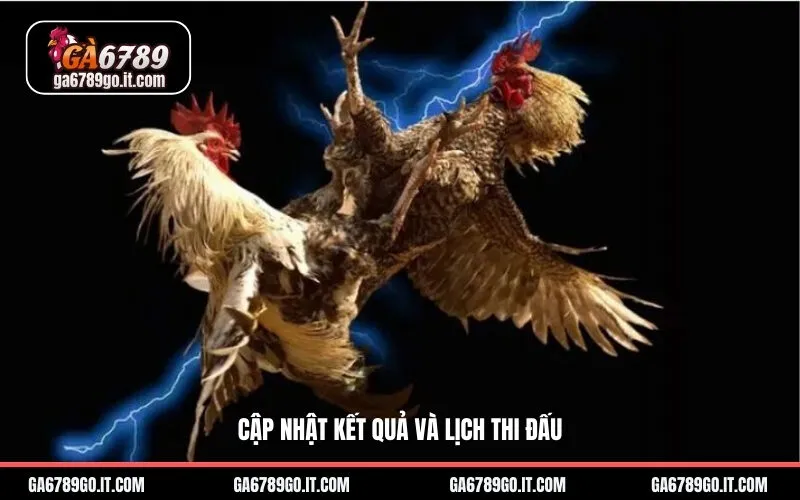 Cập Nhật Kết Quả Và Lịch Thi Đấu