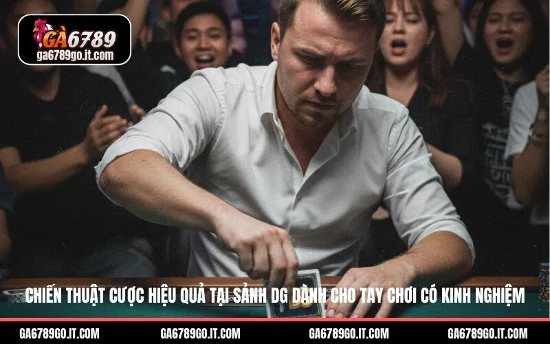 Chiến thuật cược hiệu quả tại sảnh DG dành cho tay chơi có kinh nghiệm