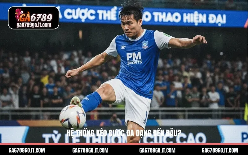 Hệ thống kèo cược đa dạng đến đâu?